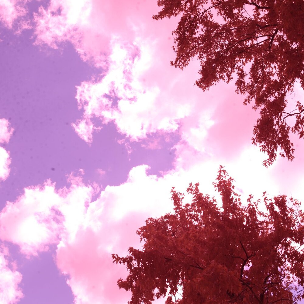 IR Converted Canon EOS 5D Mark II Camera